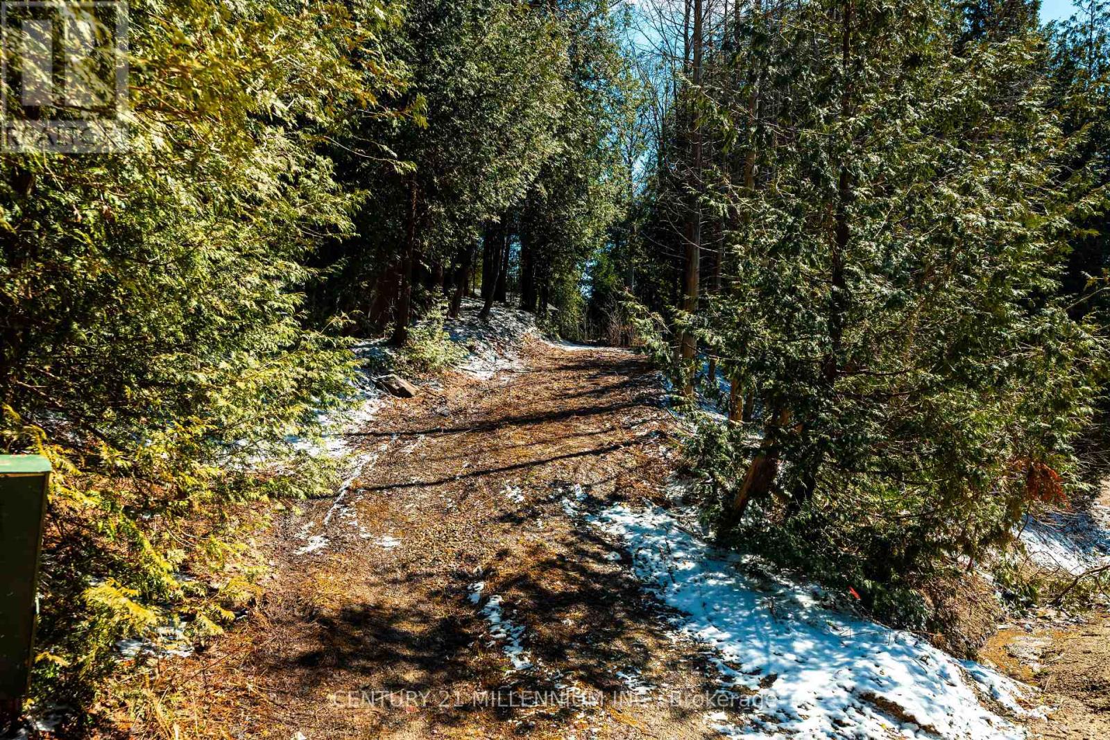 713467 1st Line Ehs Line, Mono, Ontario  L9W 5T3 - Photo 10 - X12973874