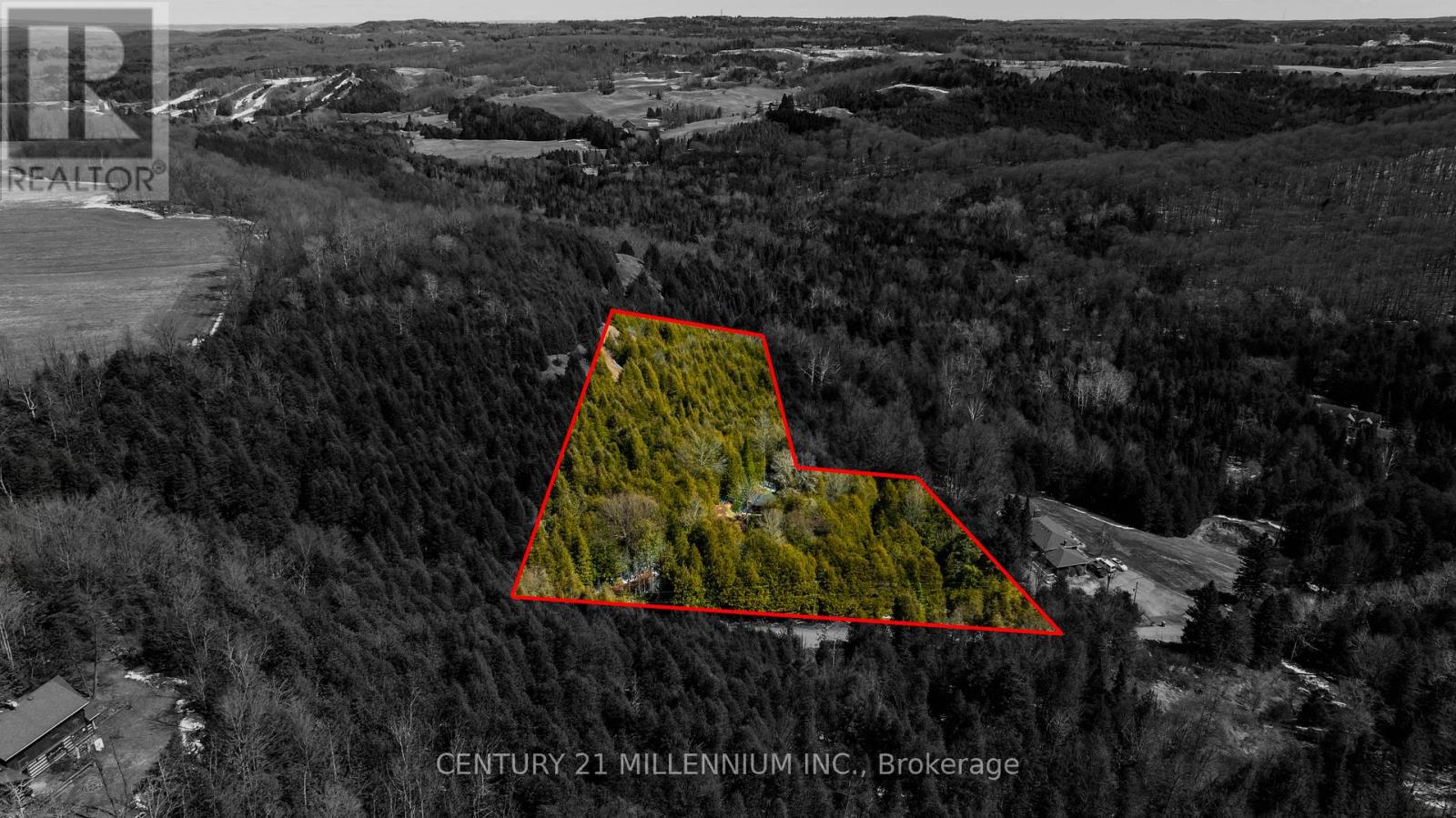 713467 1st Line Ehs Line, Mono, Ontario  L9W 5T3 - Photo 11 - X12973874