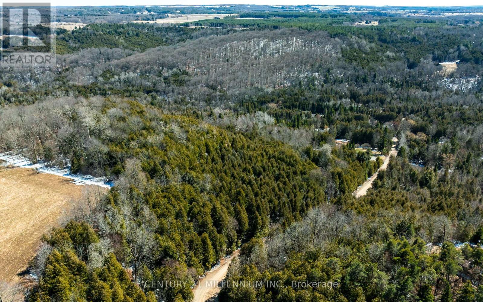 713467 1st Line Ehs Line, Mono, Ontario  L9W 5T3 - Photo 17 - X12973874