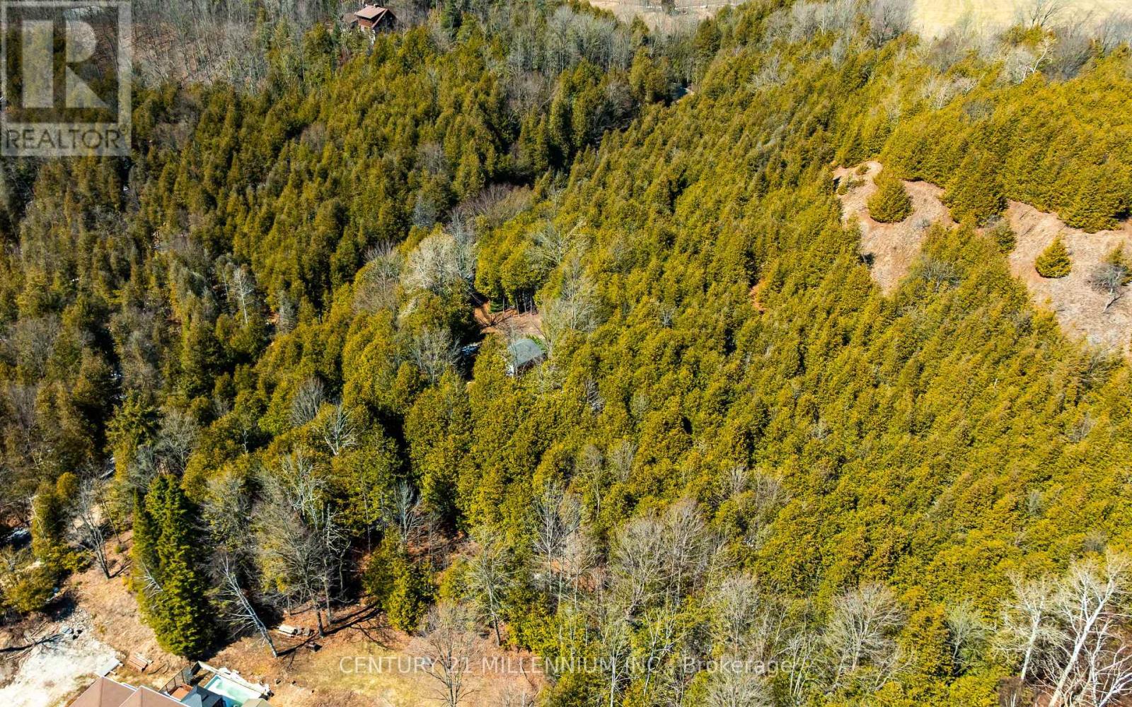 713467 1st Line Ehs Line, Mono, Ontario  L9W 5T3 - Photo 23 - X12973874