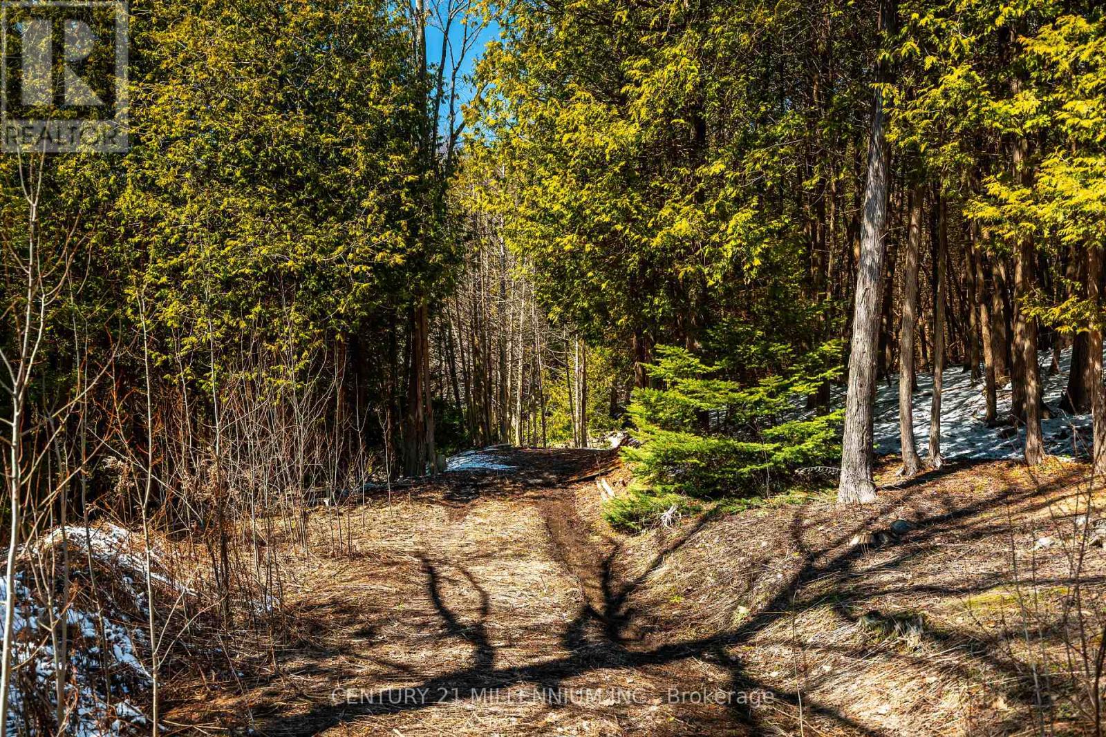 713467 1st Line Ehs Line, Mono, Ontario  L9W 5T3 - Photo 7 - X12973874