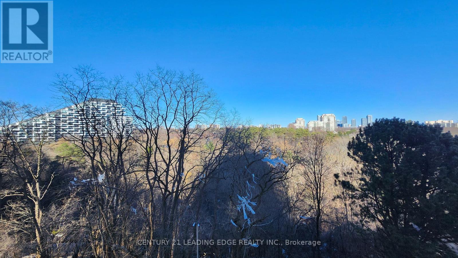 302 - 29 Green Trail Court, Toronto, Ontario  M3C 3S2 - Photo 19 - C12973926