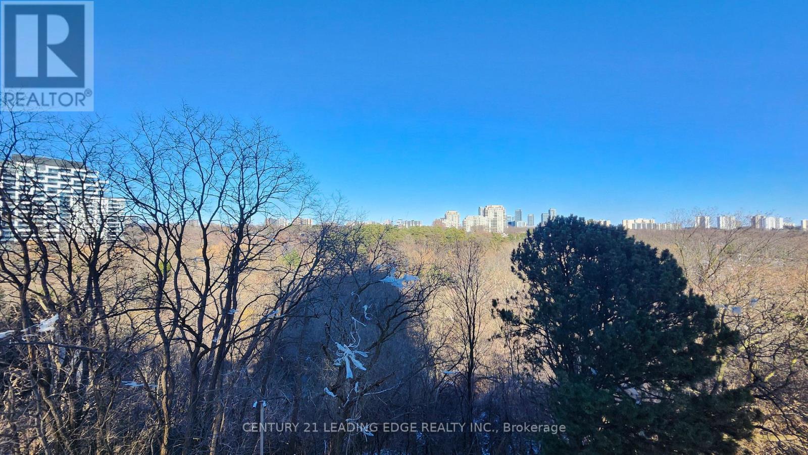 302 - 29 Green Trail Court, Toronto, Ontario  M3C 3S2 - Photo 20 - C12973926