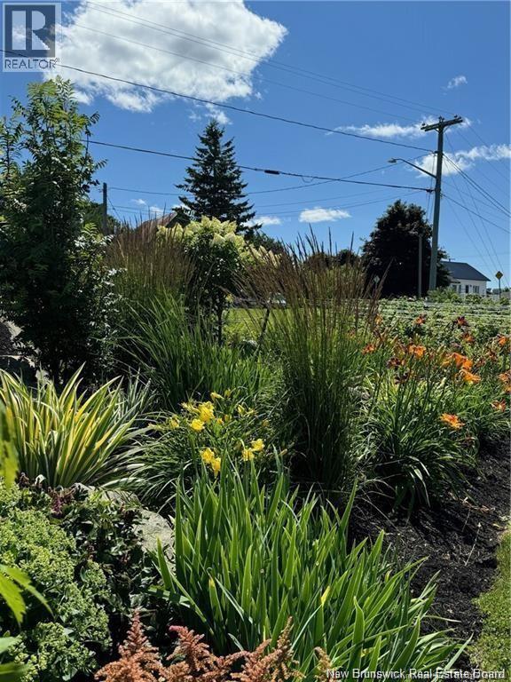 17 River Street, Rexton, New Brunswick  E4W 3C9 - Photo 41 - NB134273