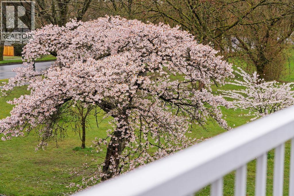 5681 Killarney Street, Vancouver, British Columbia V5R 3W4 - Photo 33 - R3107134