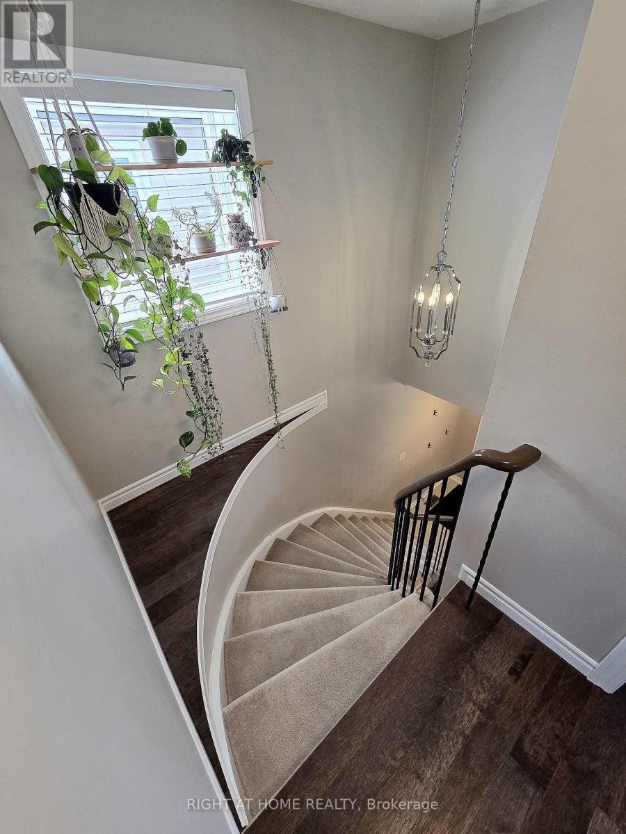 6914 Cordingley Crescent, Mississauga, Ontario  L5N 4Y8 - Photo 18 - W12974282