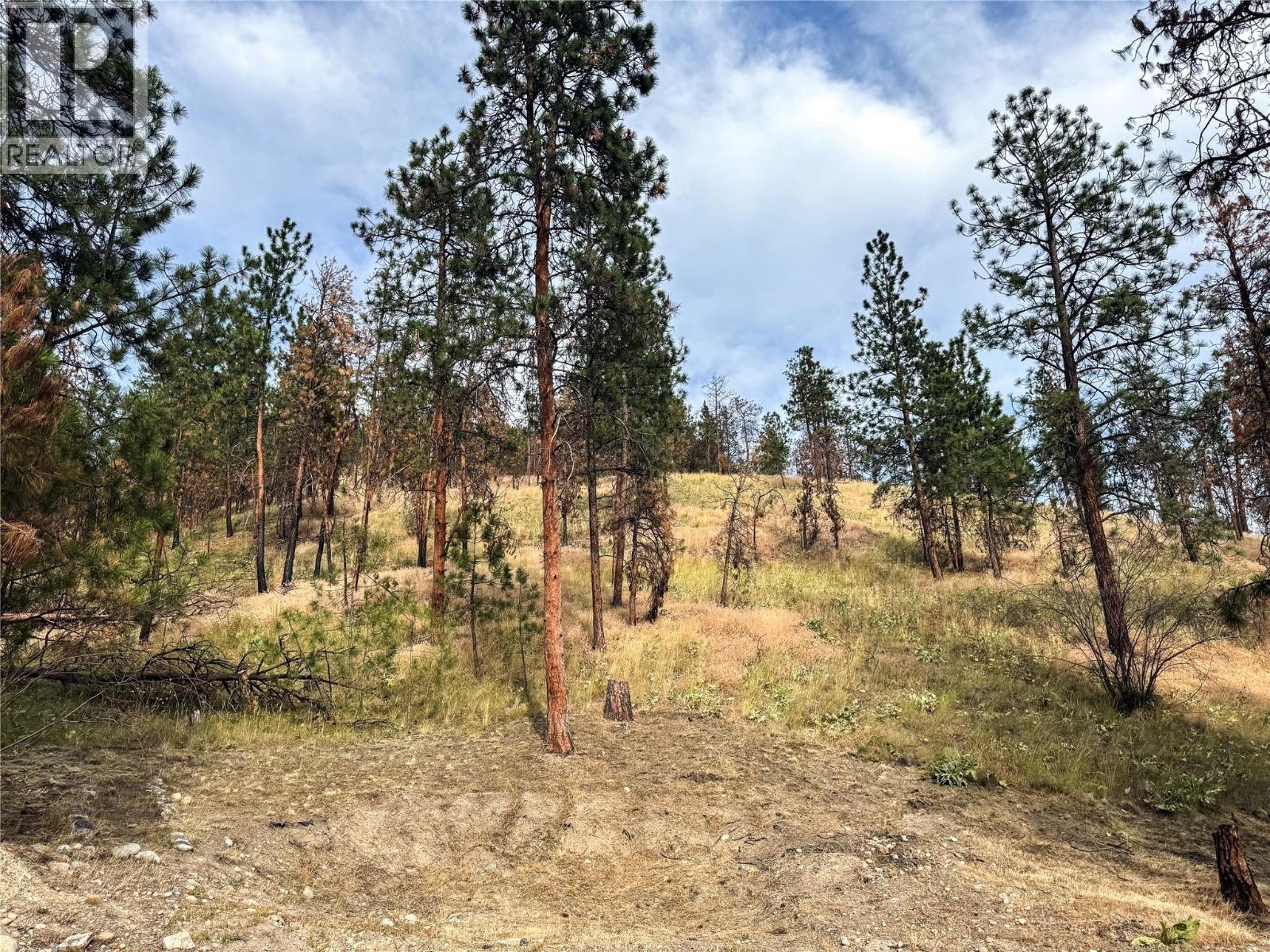 9775/9819 Okanagan Centre Road W, Lake Country, British Columbia  V4V 1T6 - Photo 10 - 10354155