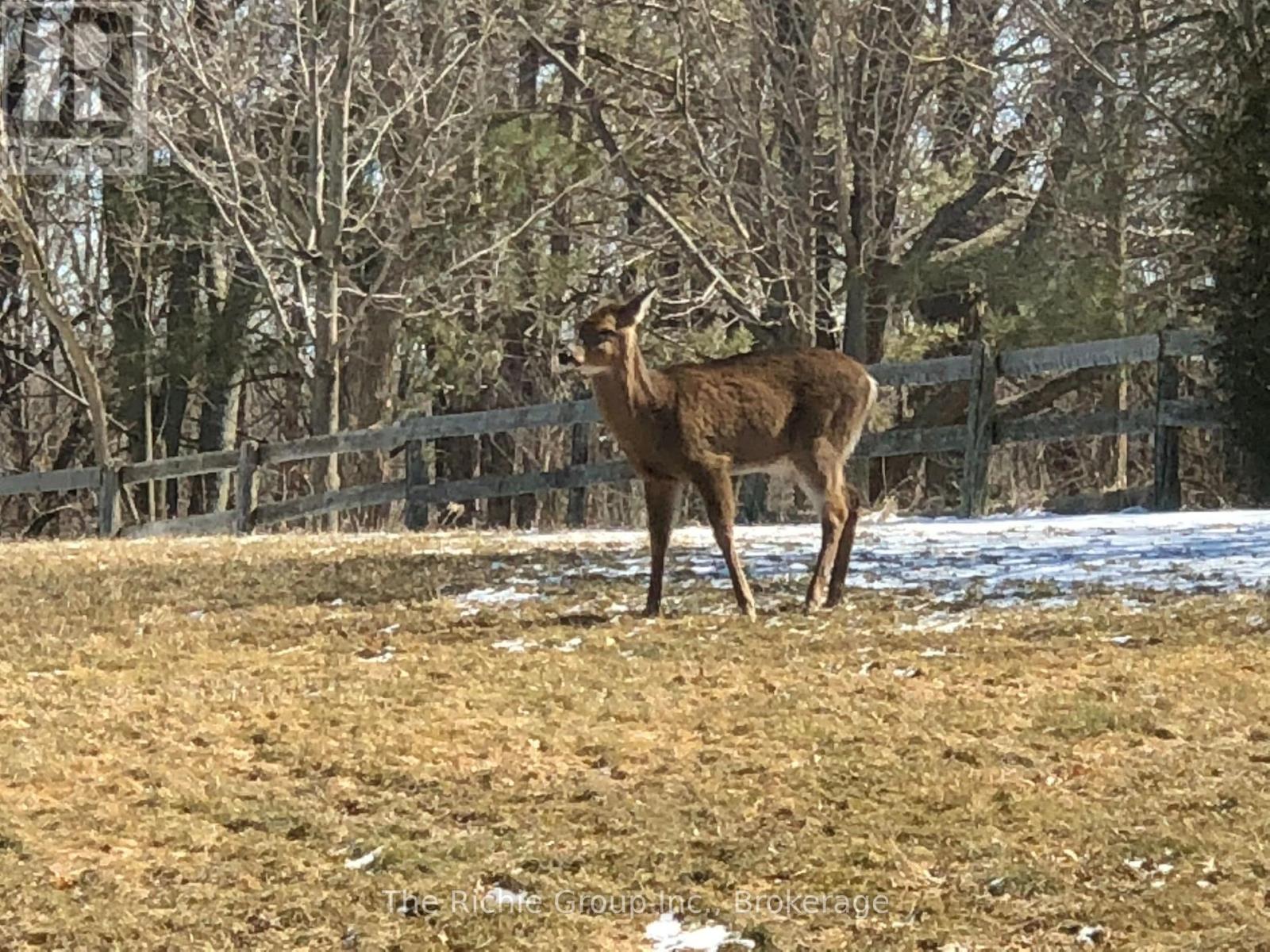 9 Mill View Court, Caledon, Ontario  L7K 2N4 - Photo 26 - W12972500