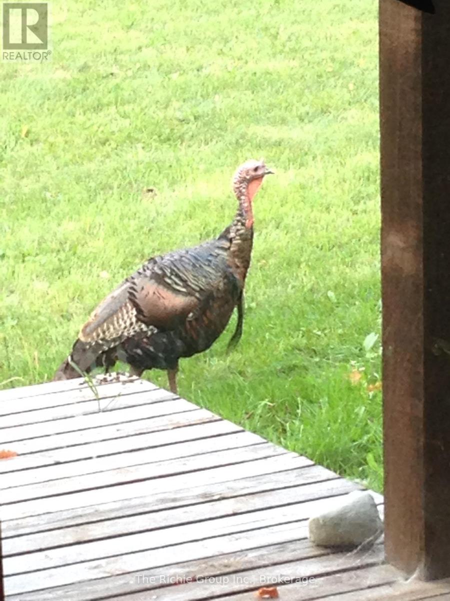 9 Mill View Court, Caledon, Ontario  L7K 2N4 - Photo 31 - W12972500