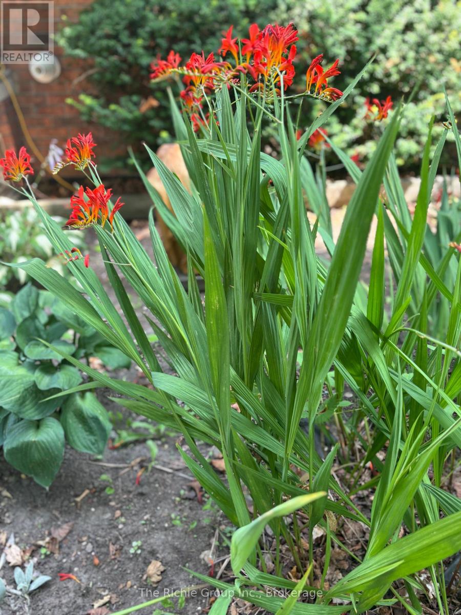 9 Mill View Court, Caledon, Ontario  L7K 2N4 - Photo 28 - W12972500