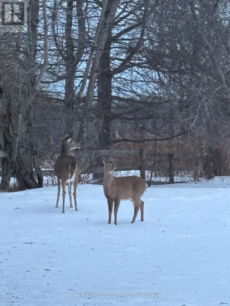 9 Mill View Court, Caledon, Ontario  L7K 2N4 - Photo 29 - W12972500