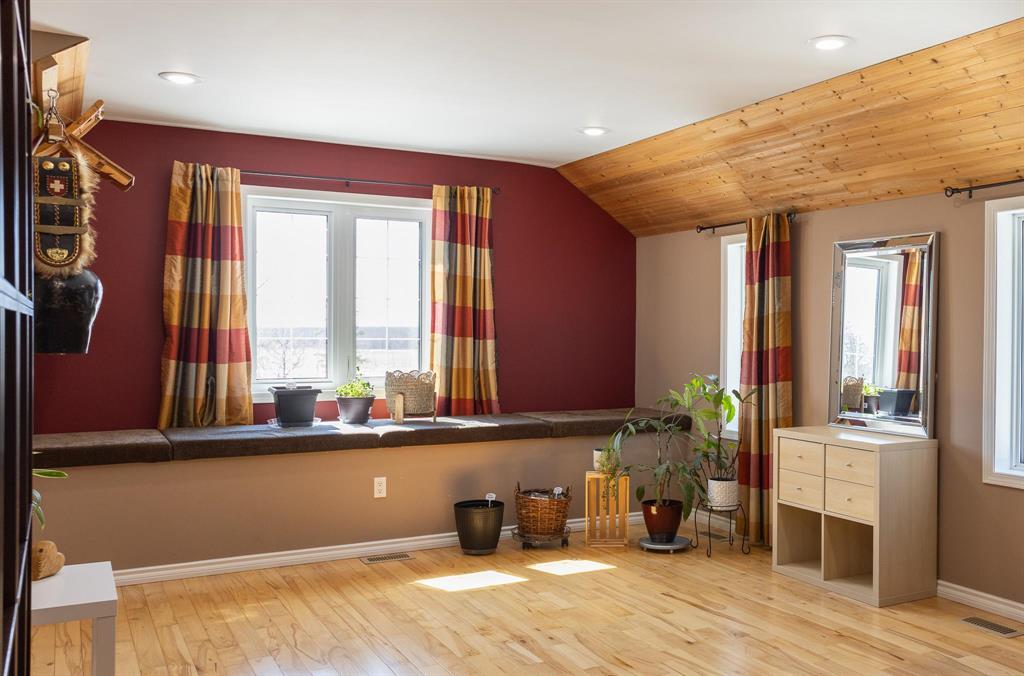 245 Drull Avenue, Vita, Manitoba  R0A 2K0 - Photo 18 - 202606720