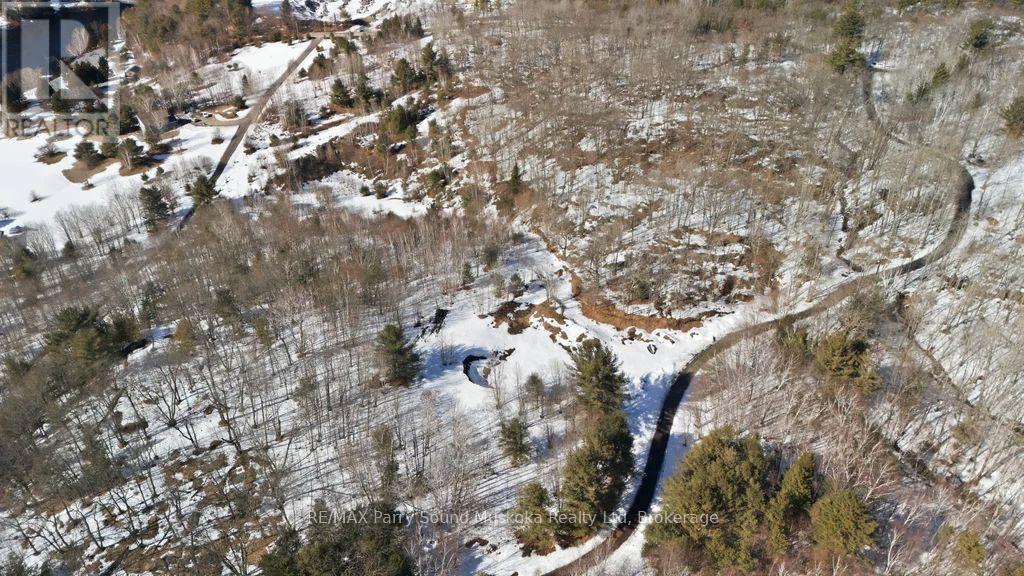 Lot 1 Burnside Bridge Road, Mcdougall, Ontario  P2A 2W9 - Photo 11 - X12974500