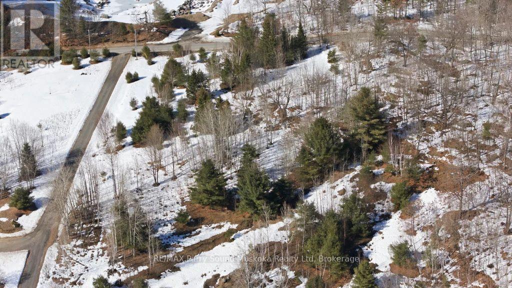 Lot 1 Burnside Bridge Road, Mcdougall, Ontario  P2A 2W9 - Photo 15 - X12974500