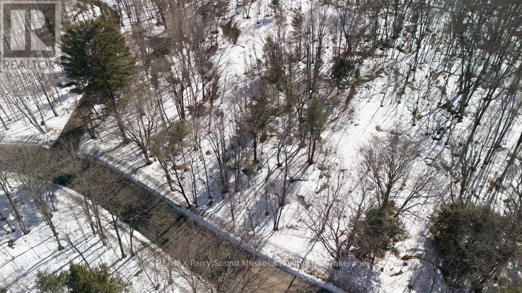 Lot 3 Burnside Bridge Road, Mcdougall, Ontario  P2A 2W9 - Photo 8 - X12974502