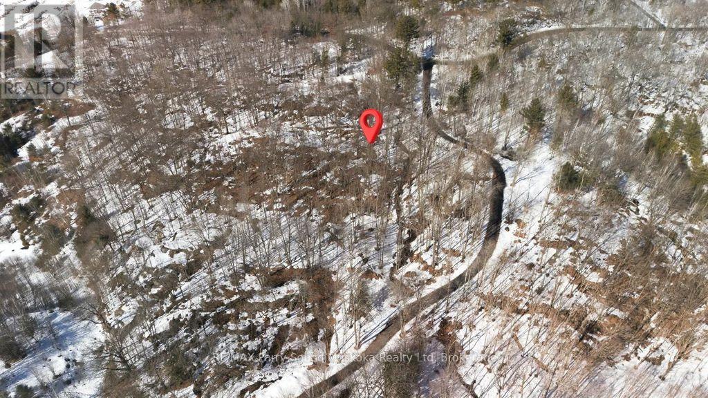 Lot 3 Burnside Bridge Road, Mcdougall, Ontario  P2A 2W9 - Photo 9 - X12974502