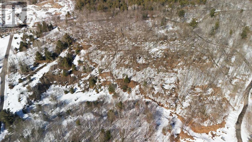 Lot 2 Burnside Bridge Road, Mcdougall, Ontario  P2A 2W9 - Photo 8 - X12974506