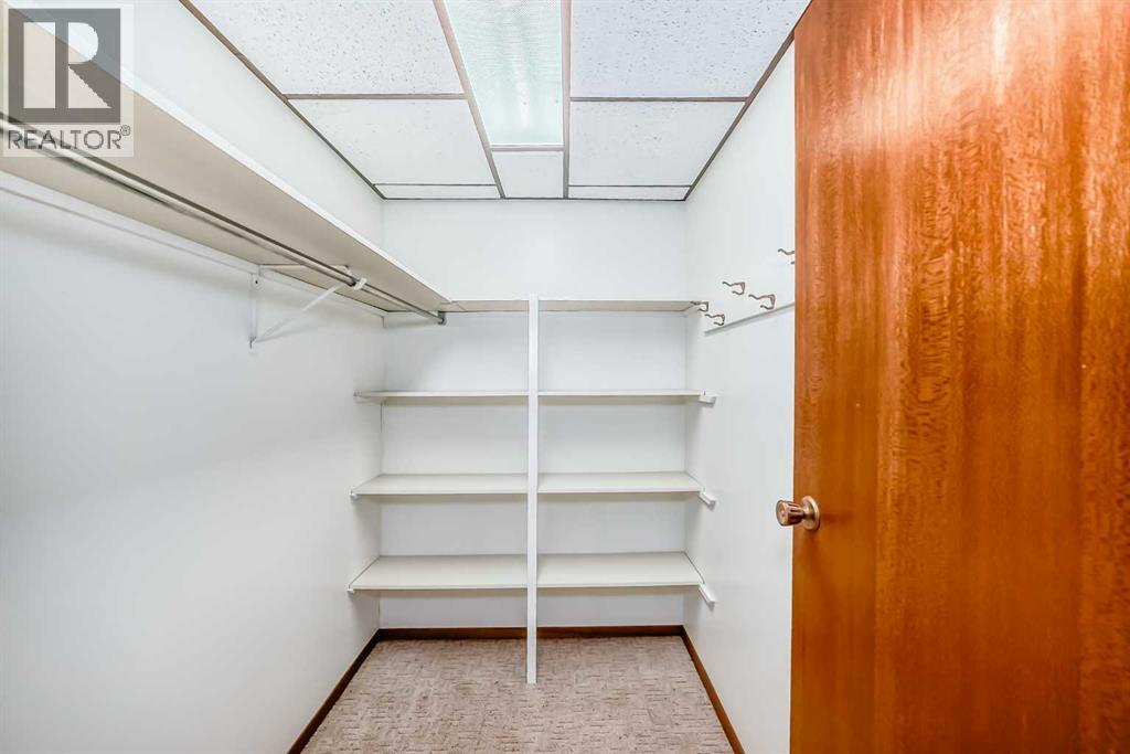 48 Parkwood Crescent, Strathmore, Alberta  T1P 1H5 - Photo 31 - A2298903