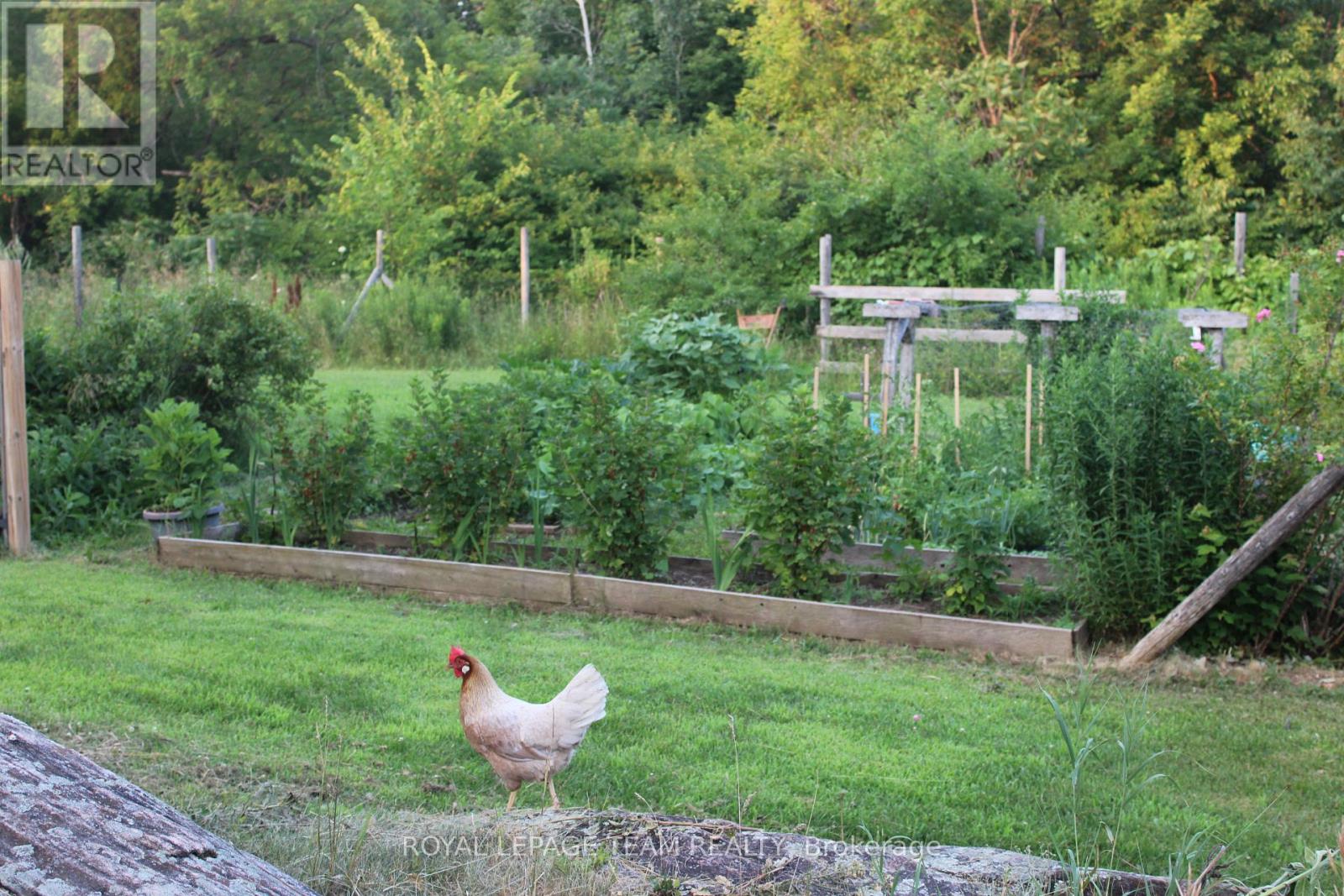 21 King Street, Killaloe, Ontario  K0J 2A0 - Photo 41 - X12796210