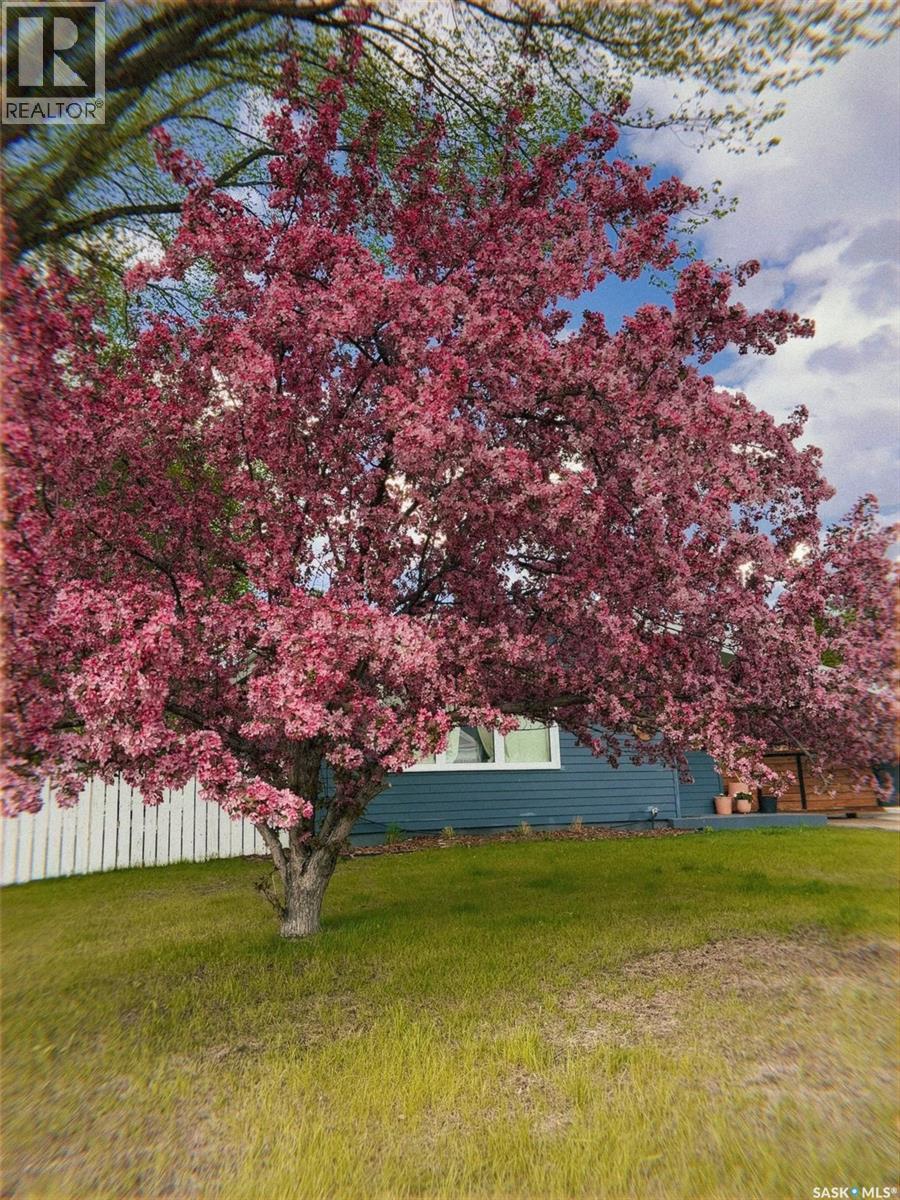 48 Bell Crescent, Saskatoon, Saskatchewan  S7J 2W3 - Photo 36 - SK032433