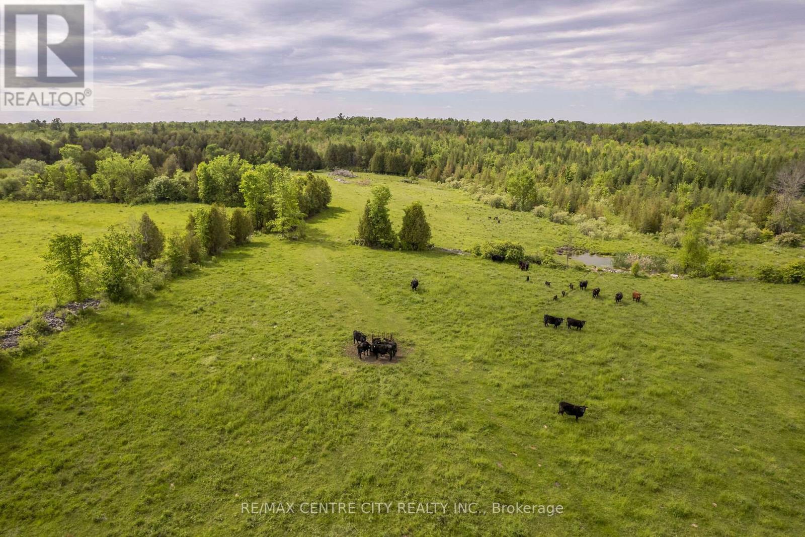 19267 County Road 25, South Glengarry, Ontario  K0C 1B0 - Photo 5 - X12684022