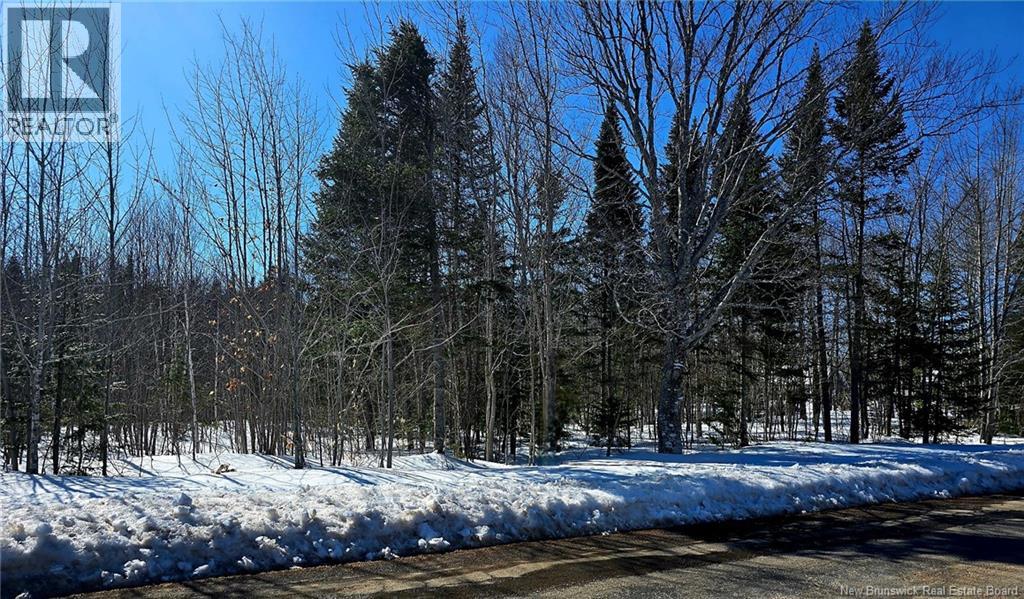 1.5 acres Ch Savoie, Notre-Dame-Des-Érables, New Brunswick