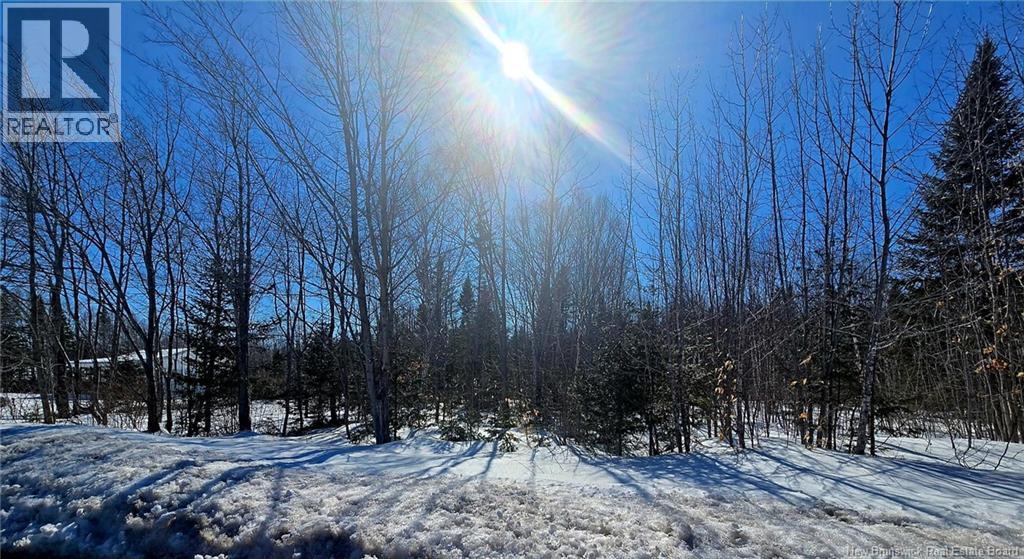 1.5 Acres Ch Savoie, Notre-Dame-Des-Érables, New Brunswick  E8R 1W9 - Photo 3 - NB136799