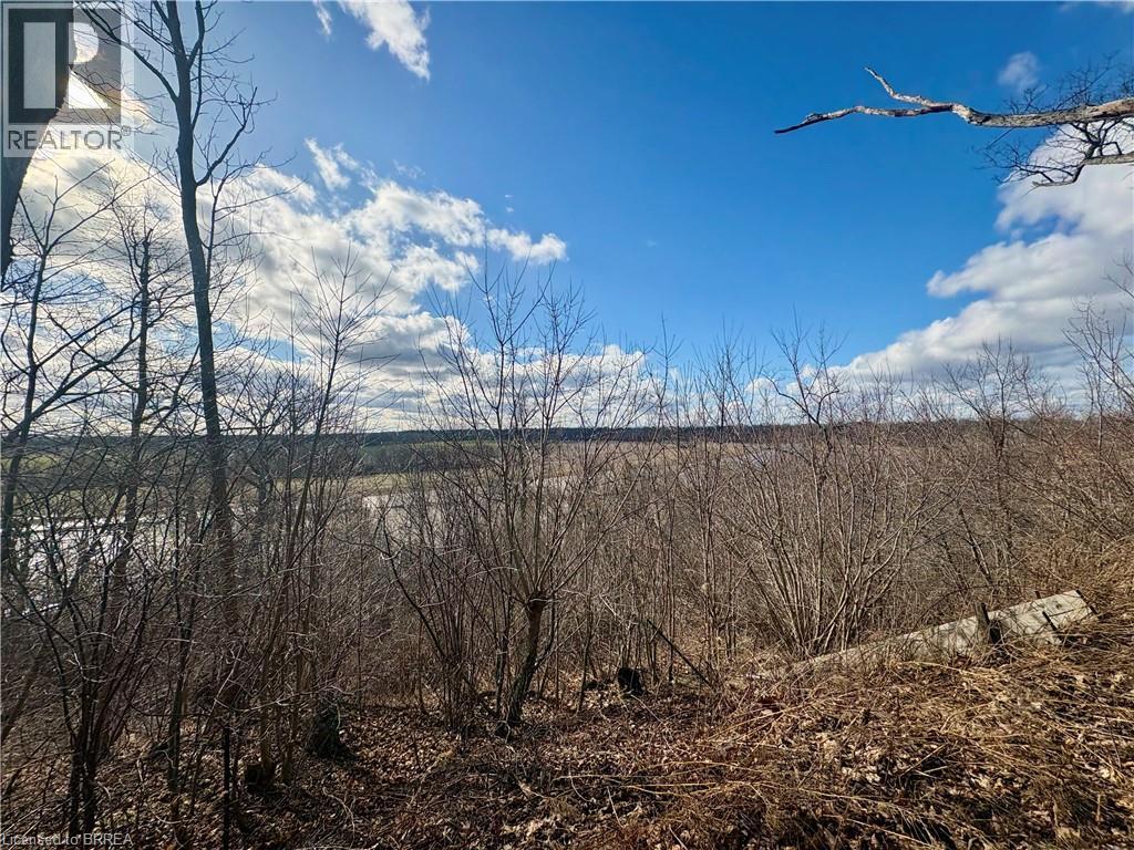 73 Blossom Avenue, Brantford, Ontario  N3T 5L9 - Photo 8 - 40799943