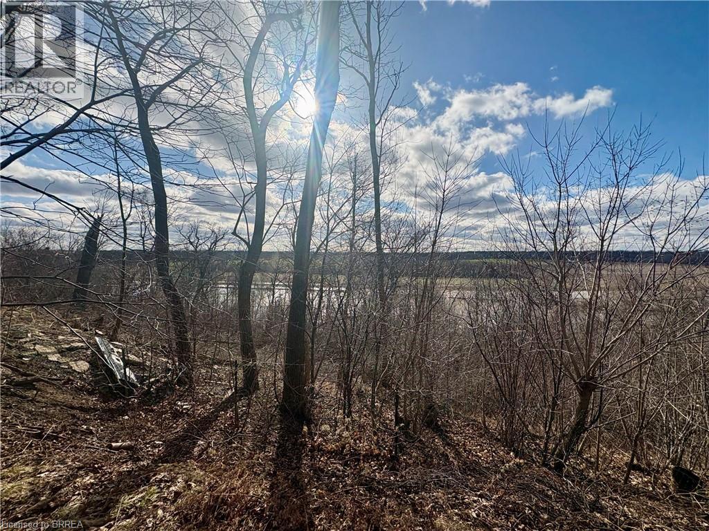 73 Blossom Avenue, Brantford, Ontario  N3T 5L9 - Photo 9 - 40799943