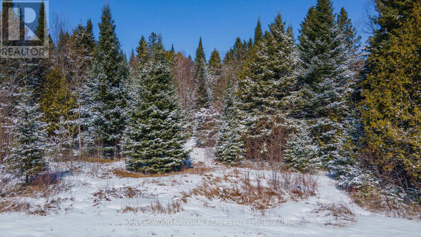 6106 Foymount Road, Brudenell, Ontario  K0J 2A0 - Photo 8 - X12974878