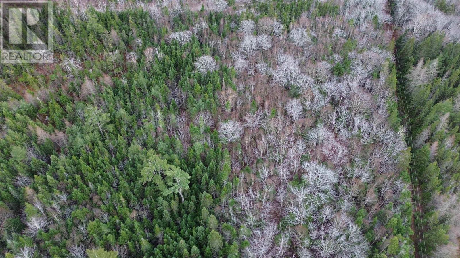 Acreage 105 Highway, Queensville, Nova Scotia  B9A 1S8 - Photo 8 - 202525023