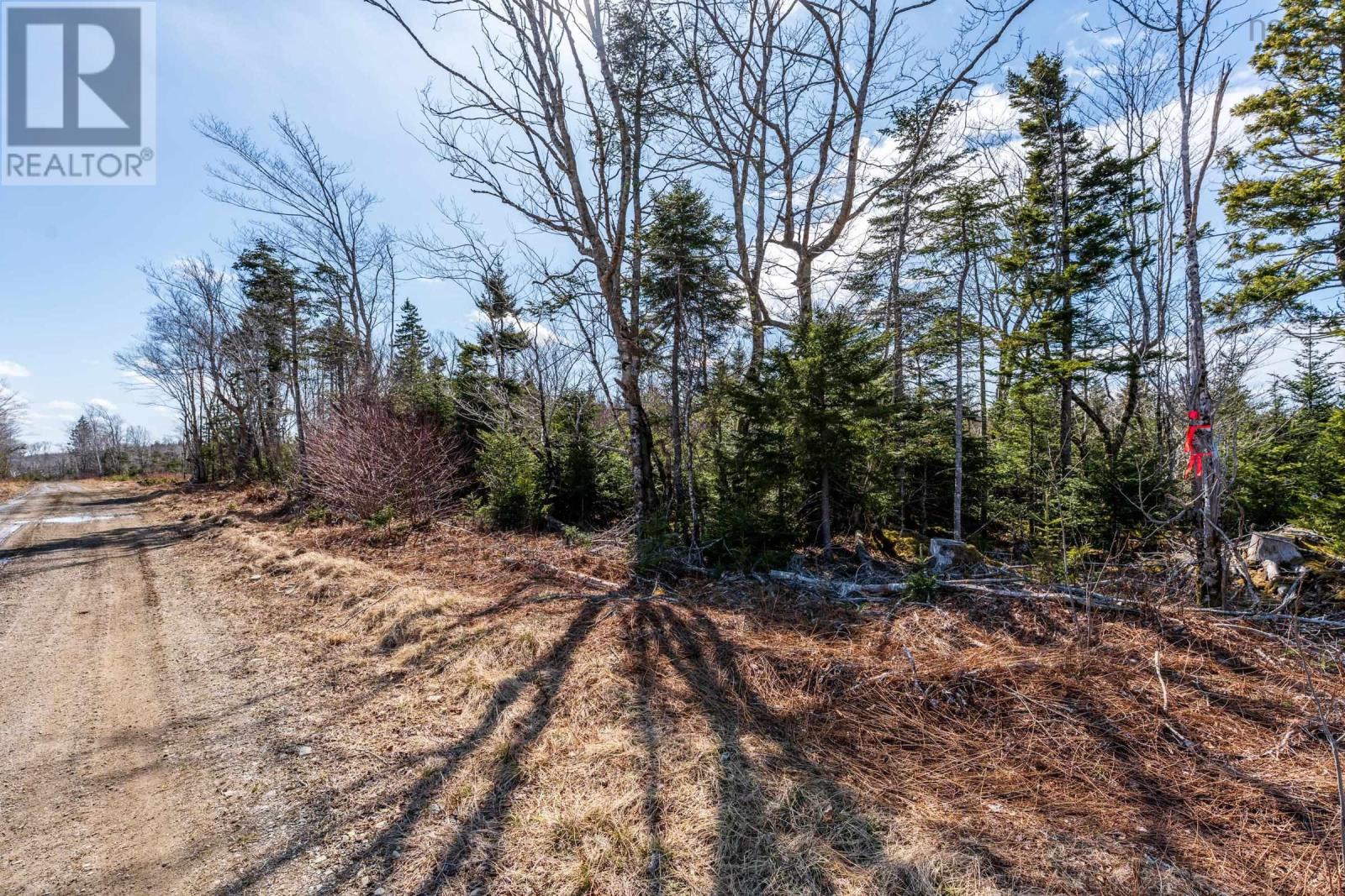Lot Davis Cove Road, Salmon River, Nova Scotia  B5A 5B3 - Photo 12 - 202606602