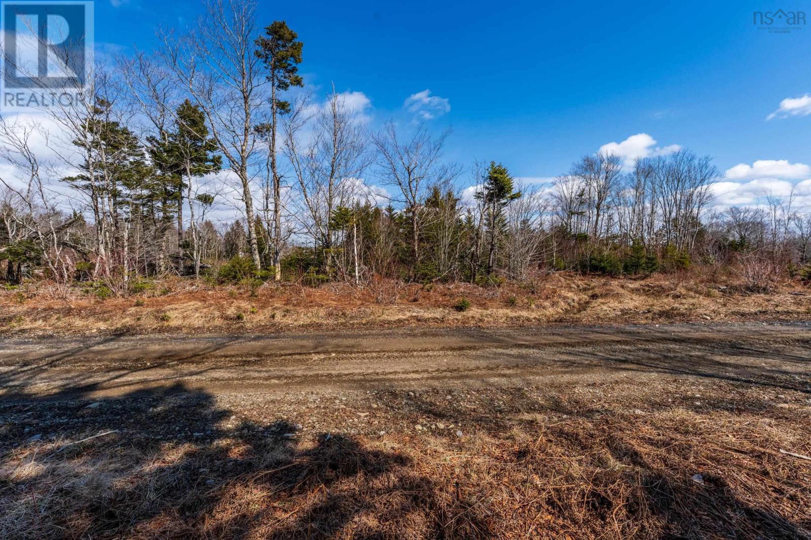 Lot Davis Cove Road, Salmon River, Nova Scotia  B5A 5B3 - Photo 10 - 202606605