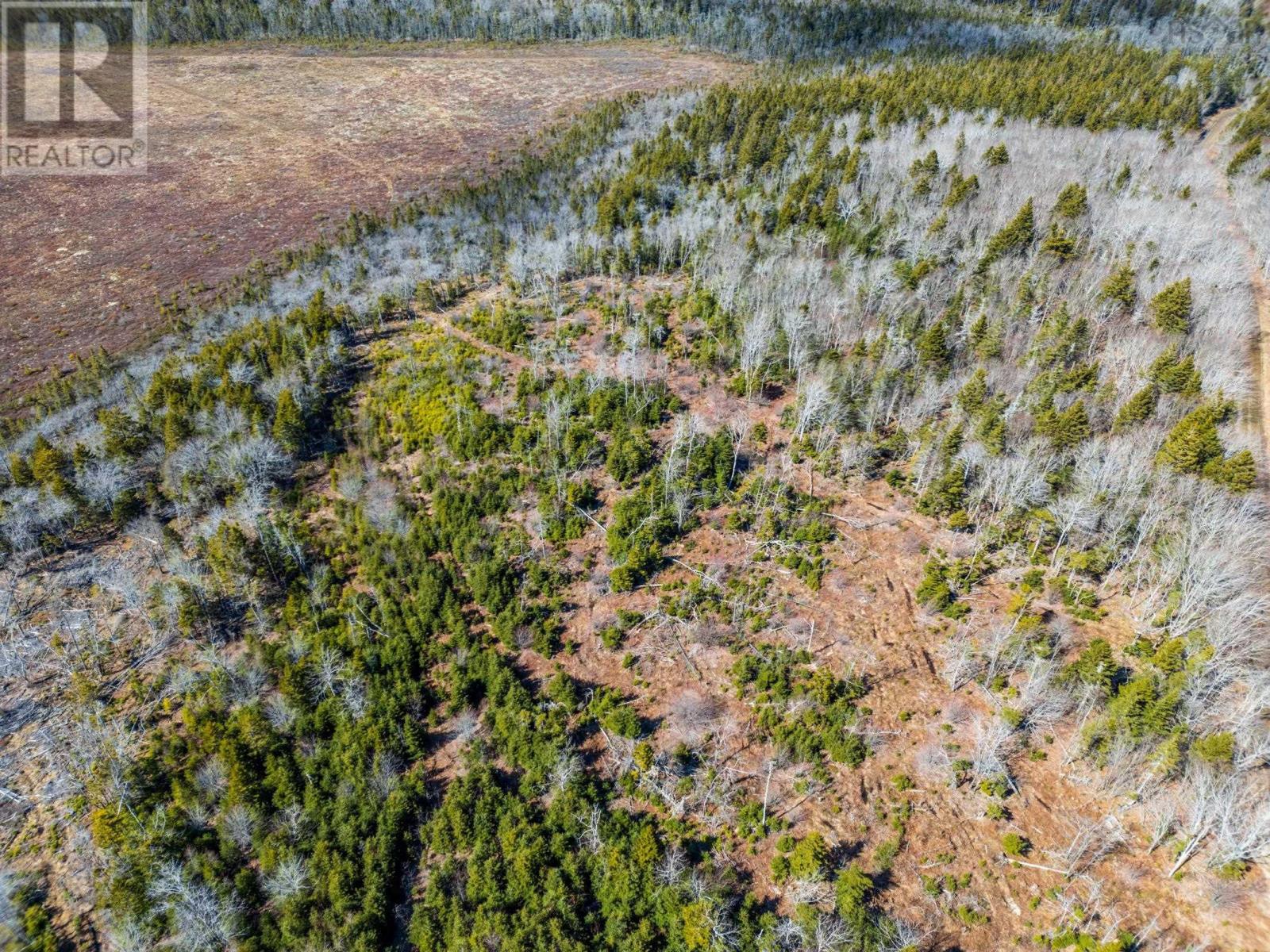 Lot Davis Cove Road, Salmon River, Nova Scotia  B5A 5B3 - Photo 6 - 202606602