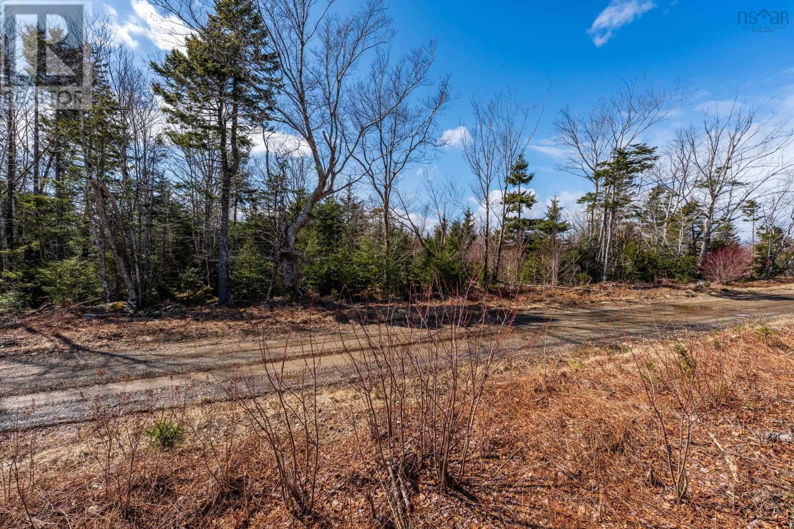 Lot Davis Cove Road, Salmon River, Nova Scotia  B5A 5B3 - Photo 19 - 202606605