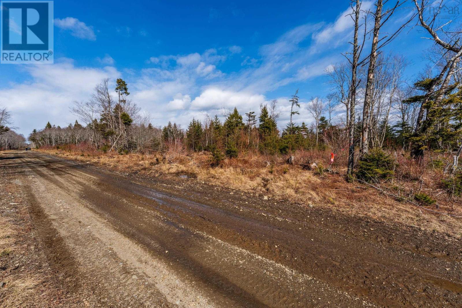 Lot Davis Cove Road, Salmon River, Nova Scotia  B5A 5B3 - Photo 17 - 202606605