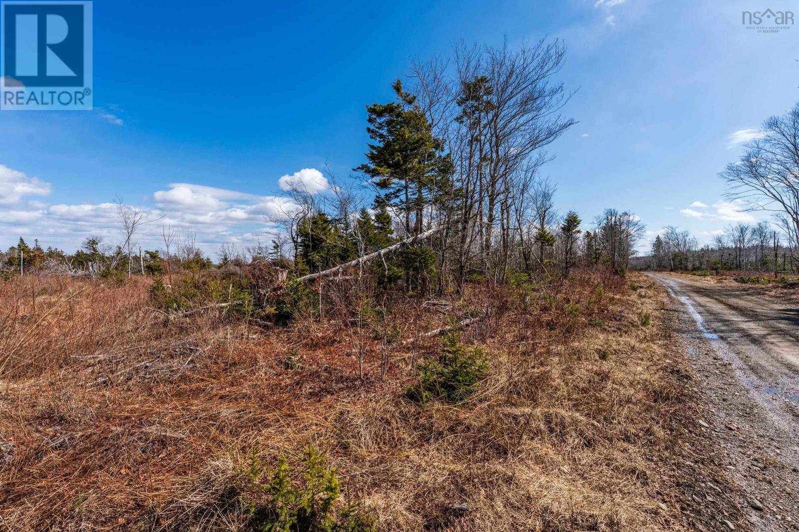 Lot Davis Cove Road, Salmon River, Nova Scotia  B5A 5B3 - Photo 6 - 202606605