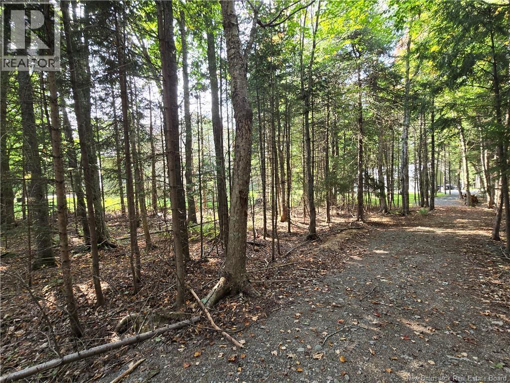 81 Katie Avenue, Douglas, New Brunswick  E3G 9K7 - Photo 45 - NB136530