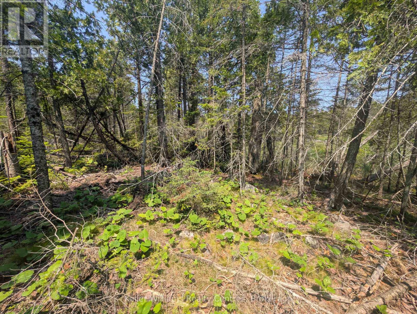 1226 Dorcas Bay Road, Northern Bruce Peninsula, Ontario  N0H 2R0 - Photo 10 - X12974902