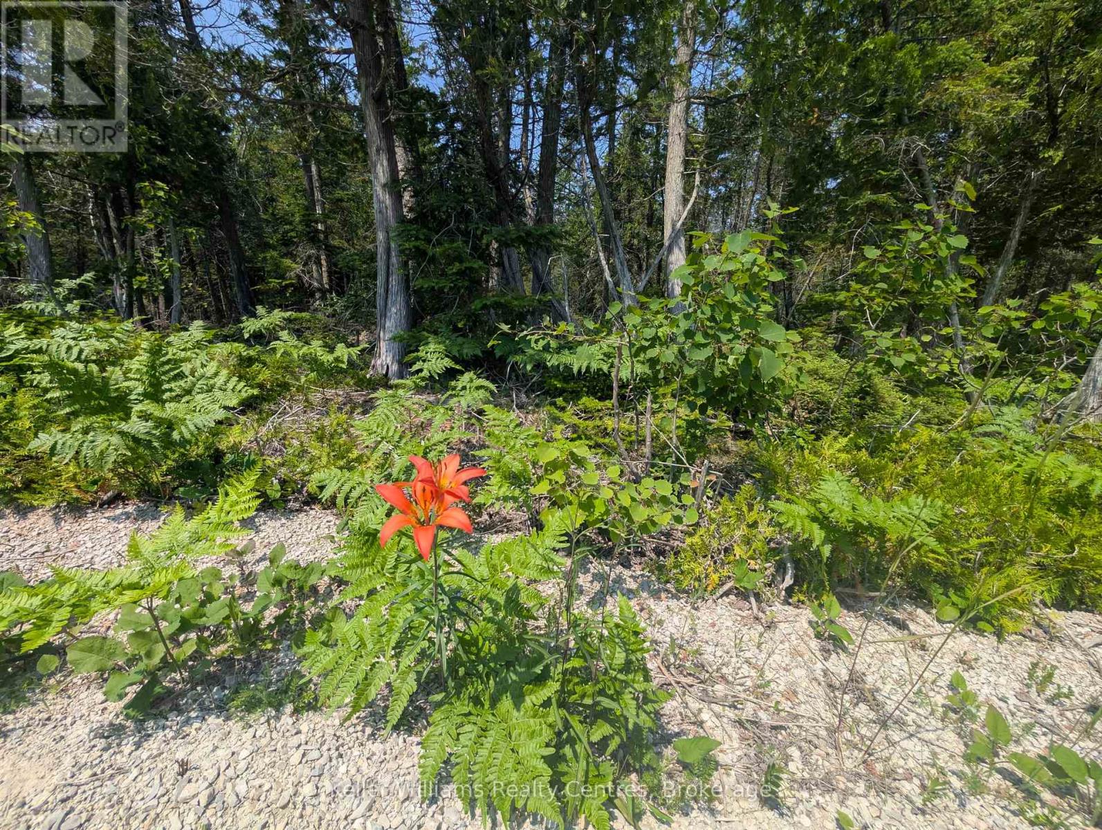 1226 Dorcas Bay Road, Northern Bruce Peninsula, Ontario  N0H 2R0 - Photo 11 - X12974902