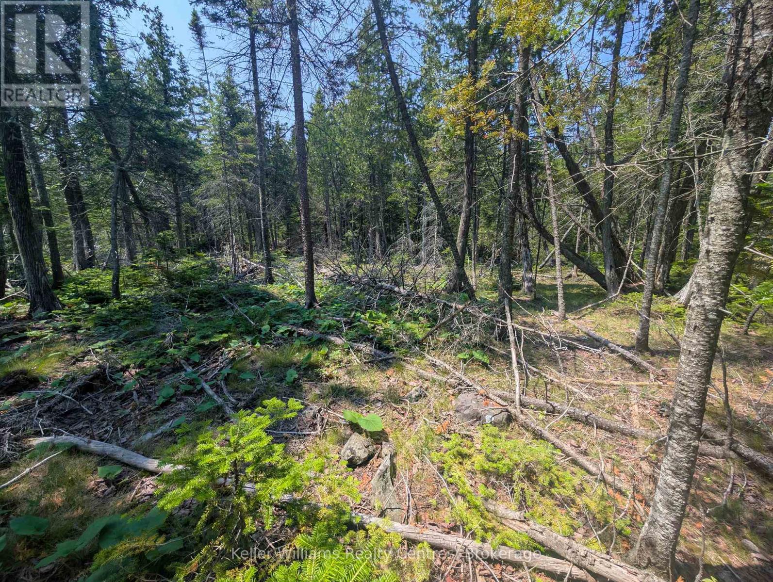 1226 Dorcas Bay Road, Northern Bruce Peninsula, Ontario  N0H 2R0 - Photo 12 - X12974902