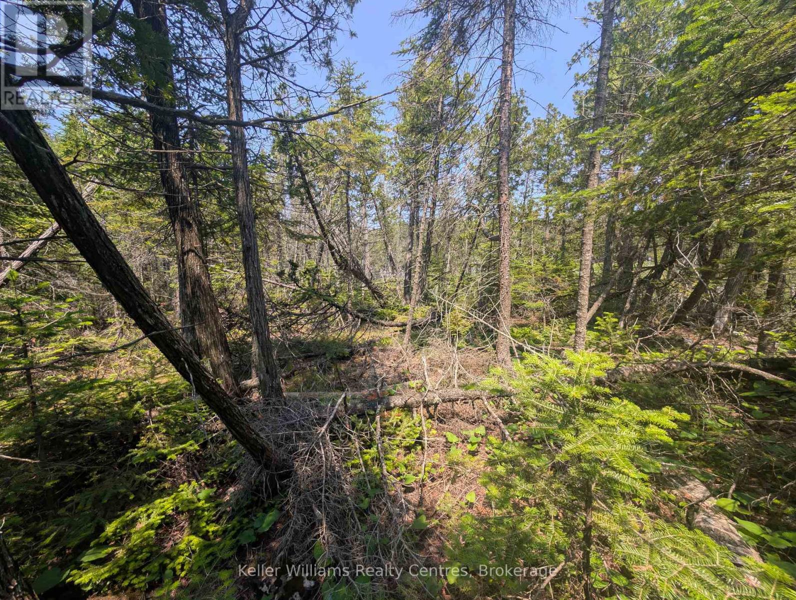 1226 Dorcas Bay Road, Northern Bruce Peninsula, Ontario  N0H 2R0 - Photo 13 - X12974902