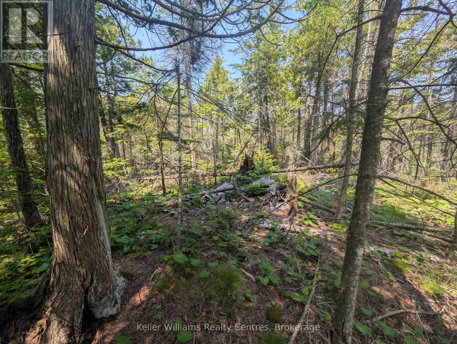 1226 Dorcas Bay Road, Northern Bruce Peninsula, Ontario  N0H 2R0 - Photo 14 - X12974902