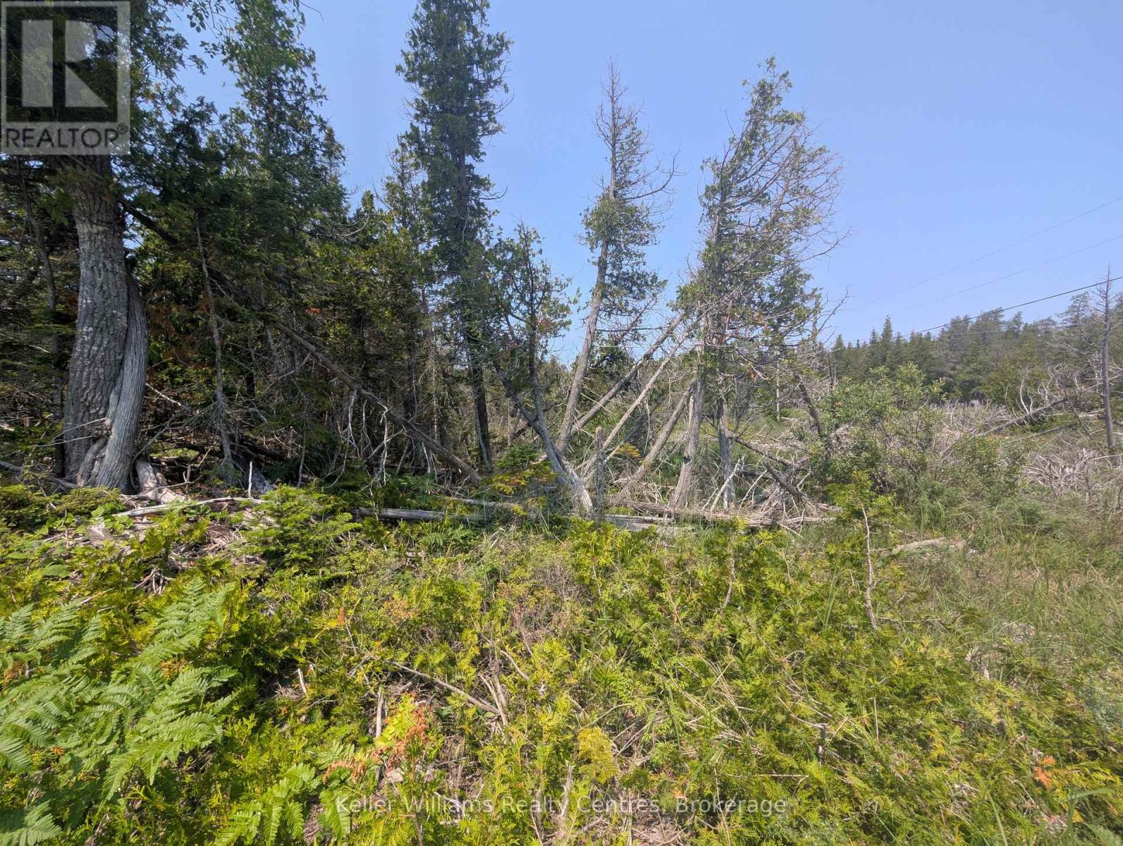 1226 Dorcas Bay Road, Northern Bruce Peninsula, Ontario  N0H 2R0 - Photo 15 - X12974902