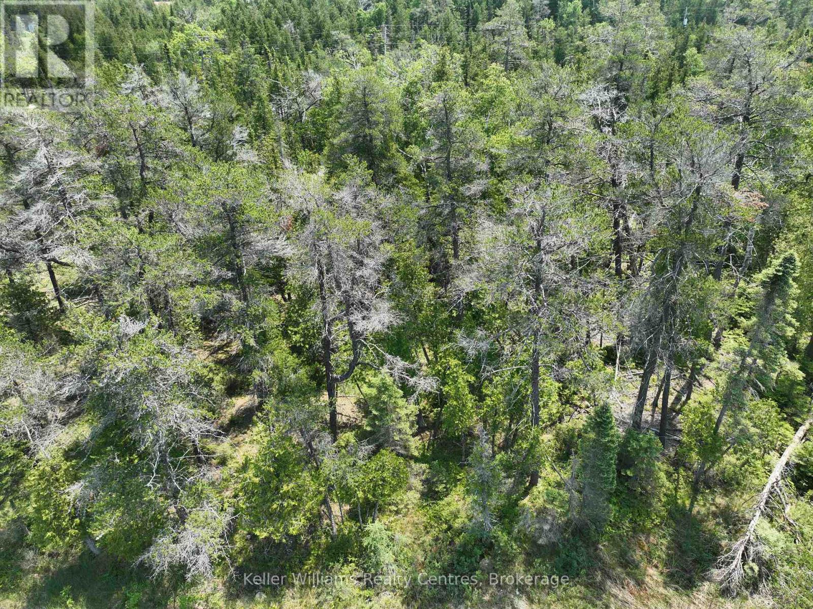 1226 Dorcas Bay Road, Northern Bruce Peninsula, Ontario  N0H 2R0 - Photo 27 - X12974902