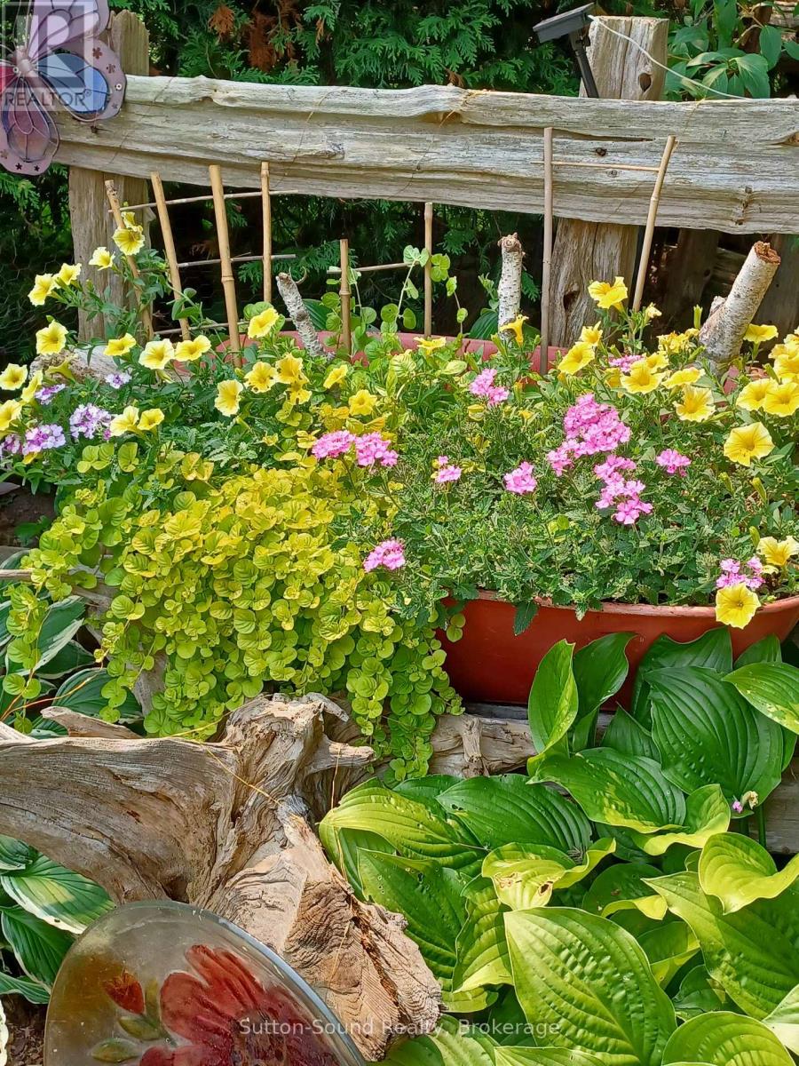 50 4th Avenue W, Owen Sound, Ontario  N4K 4V2 - Photo 41 - X12974912