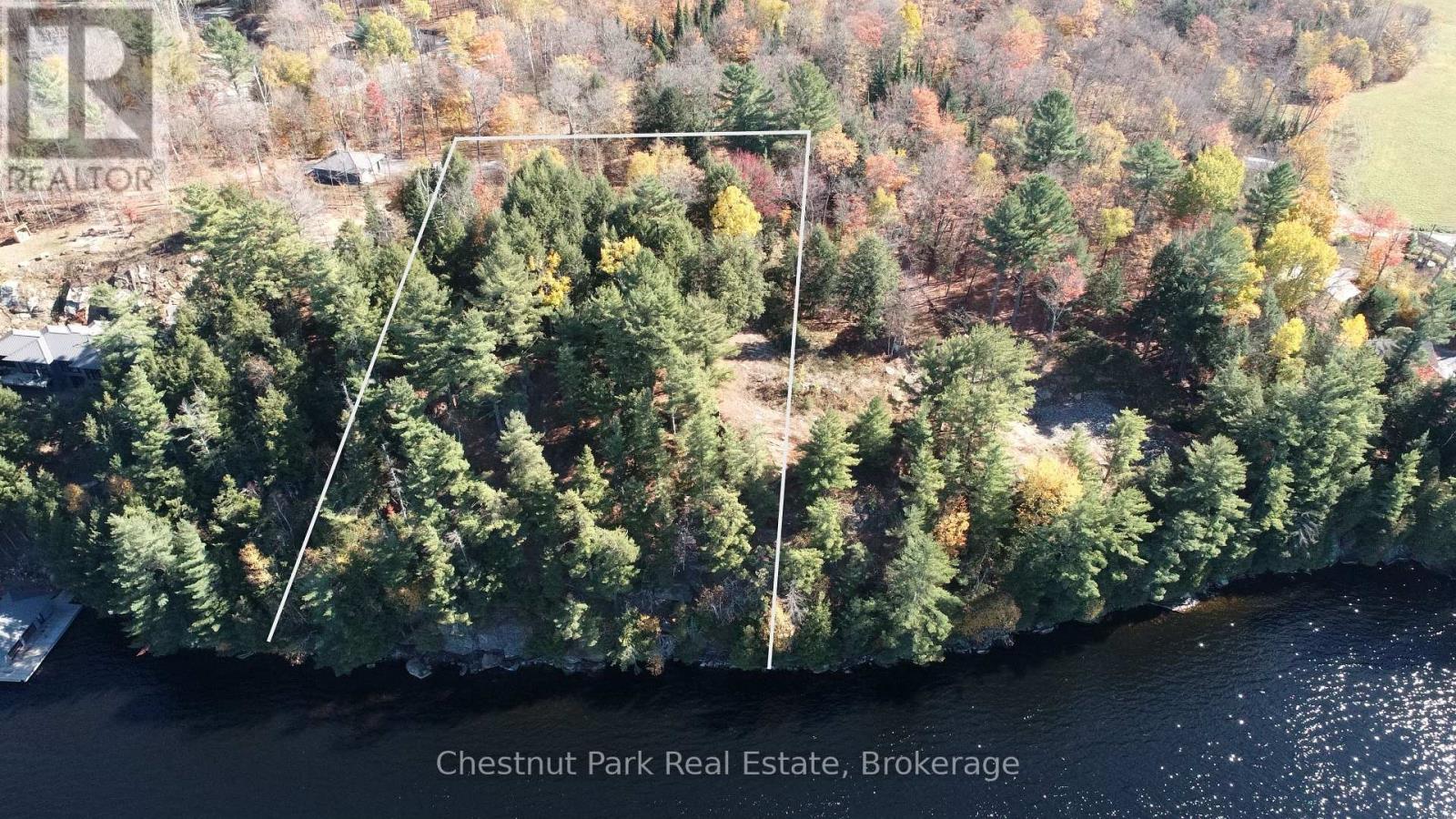 536 Springfield Road, Huntsville, Ontario  P1H 0H9 - Photo 2 - X12974948