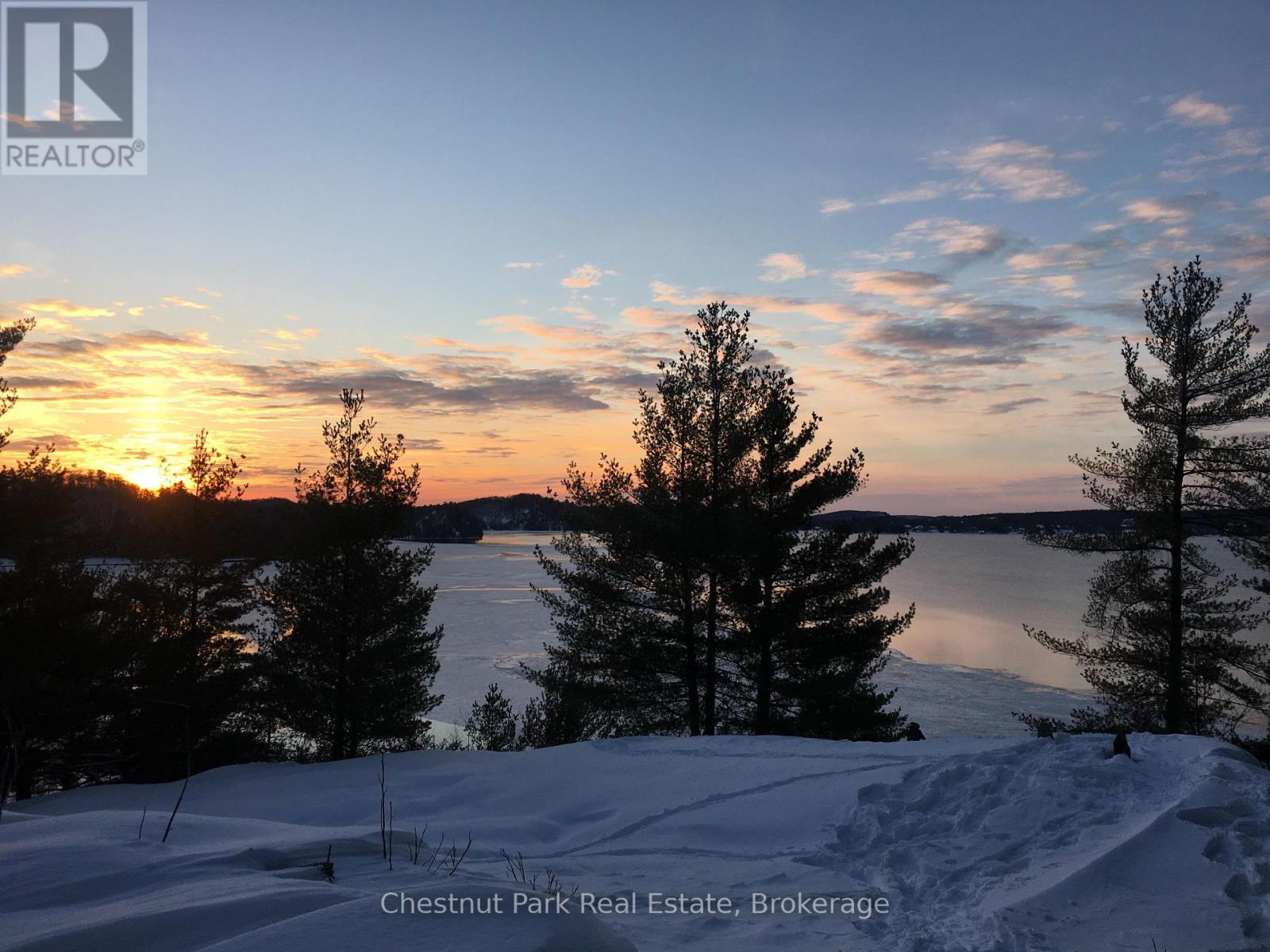 536 Springfield Road, Huntsville, Ontario  P1H 0H9 - Photo 3 - X12974948