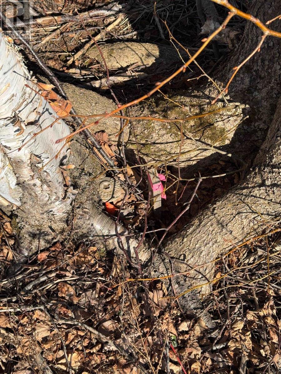 Lot 24-1 Loyalist Road, Warren Grove, Prince Edward Island  C1E 0T5 - Photo 6 - 202606576