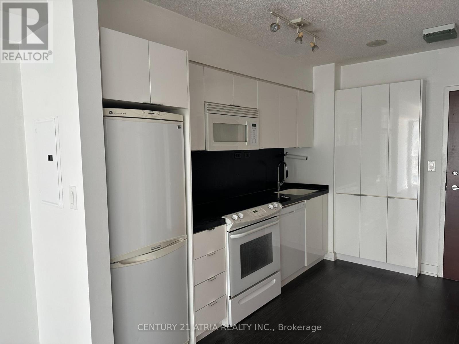 538 - 15 Iceboat Terrace, Toronto, Ontario  M5V 4A5 - Photo 6 - C12975110